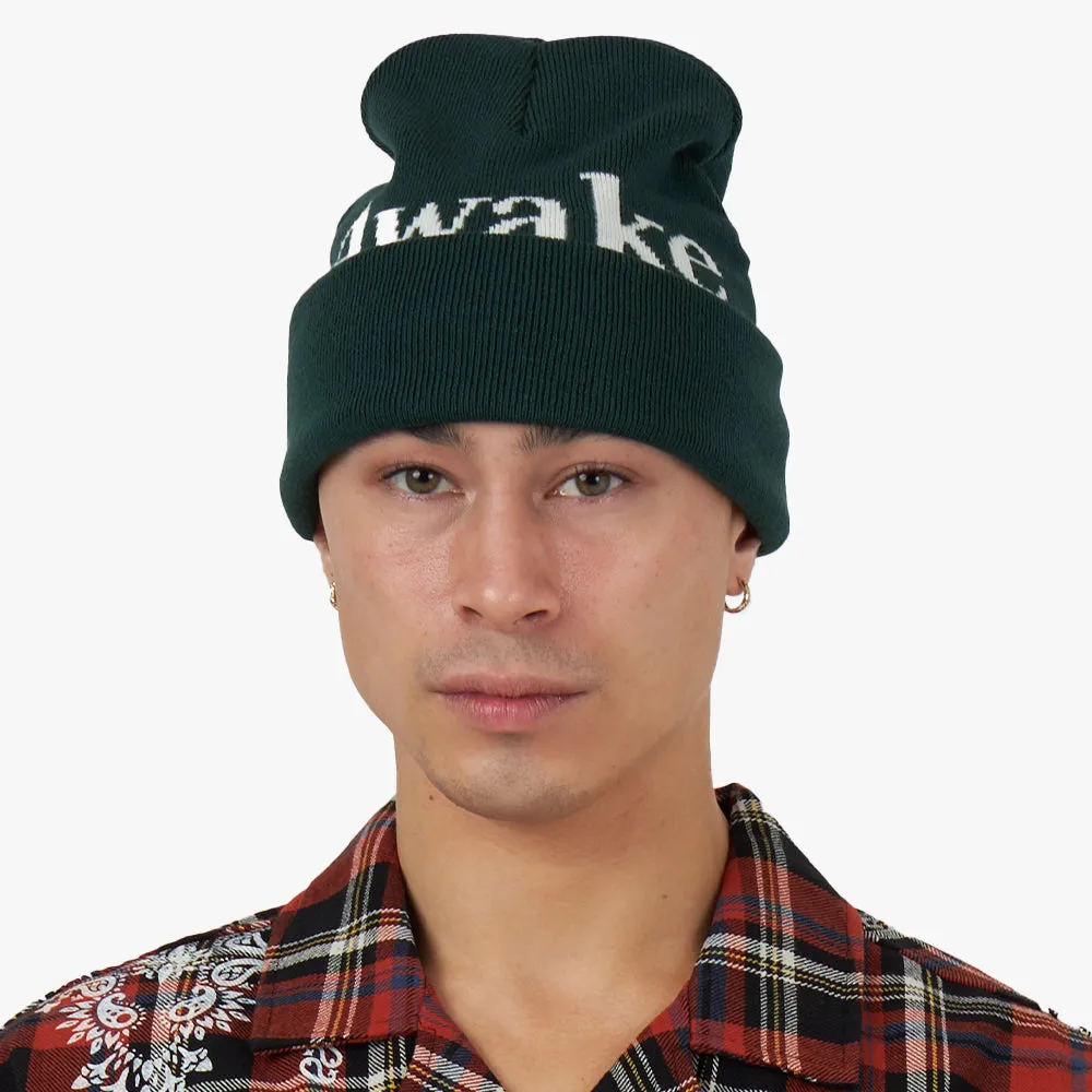 Awake NY Serif Logo Beanie / Forrest