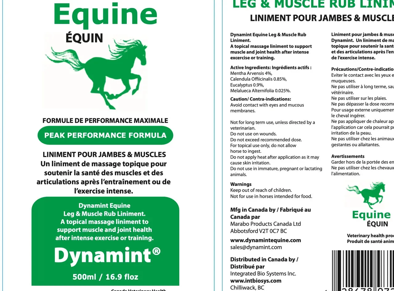 Dynamint Equine Leg & Muscle Rub