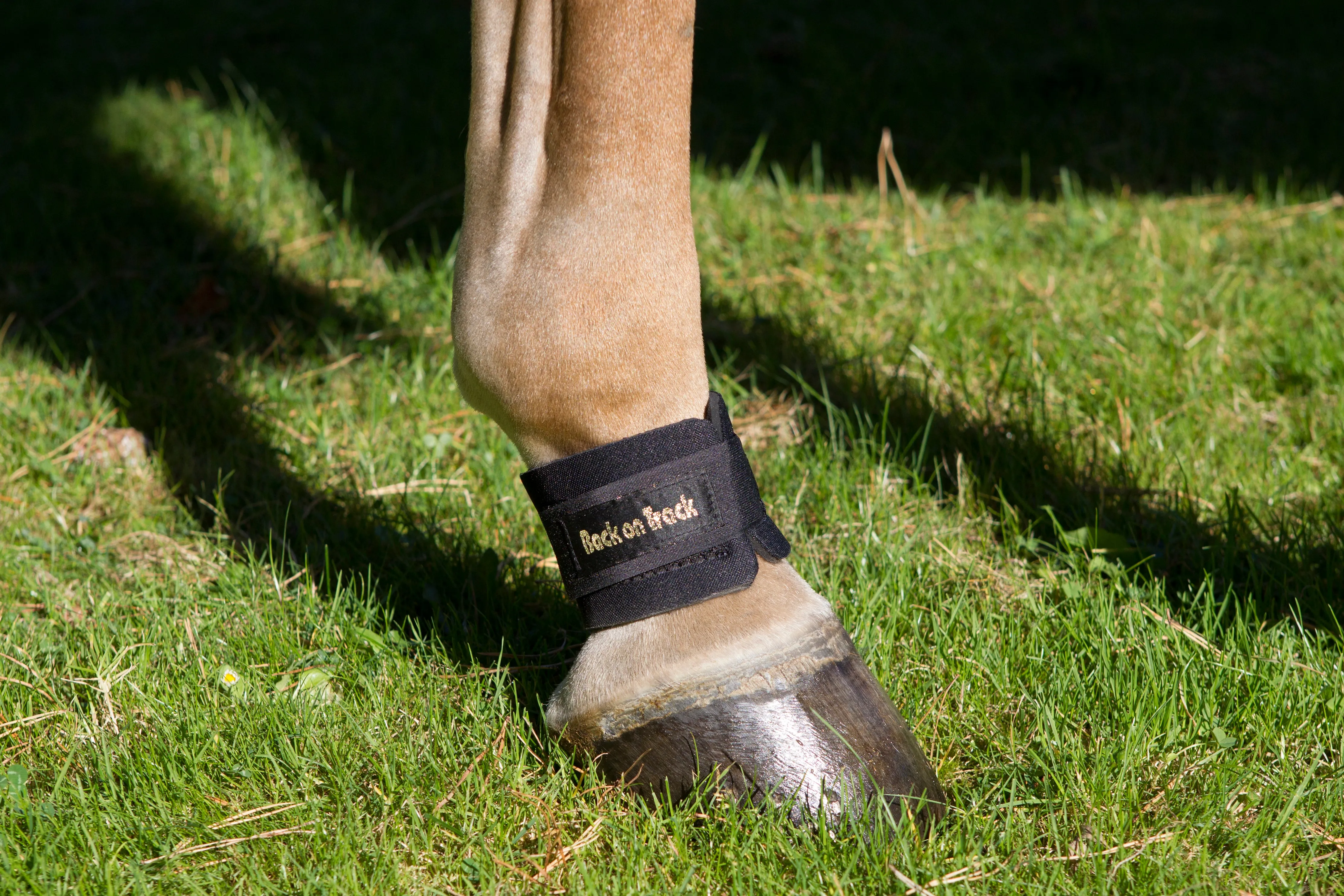 Pastern/Fetlock Bands